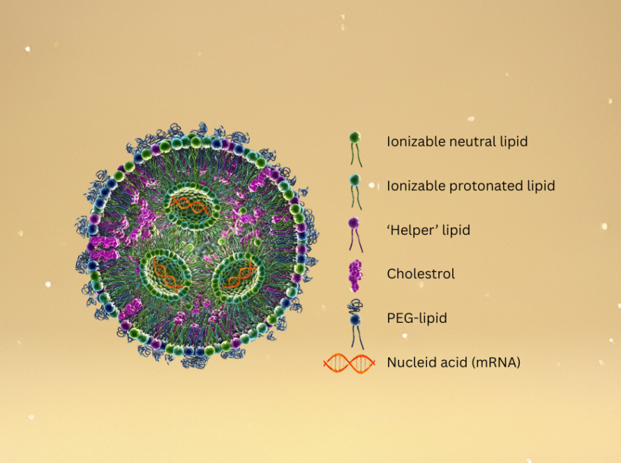 Synthetic lipids drug biologics delivery LNP knowledge hub VAV