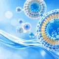 How to Choose Phospholipids for Liposome Preparation